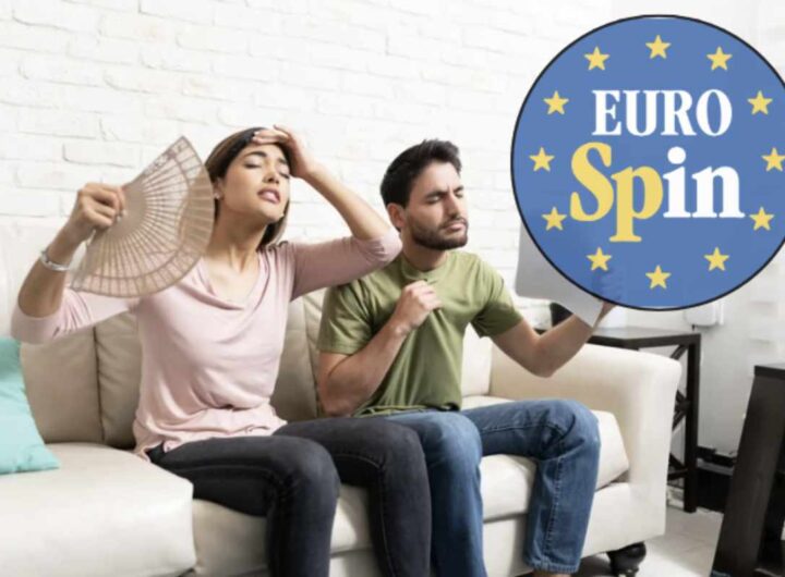 Fondata nel 1993 da quattro famiglie di imprenditori italiani, Eurospin ha profondamente trasformato il concetto di discount nel nostro Paese.