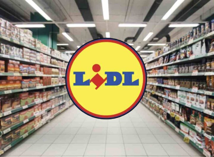Lidl Italia, filiale della multinazionale tedesca Schwarz Gruppe, continua a espandersi con oltre 600 punti vendita sul territorio nazionale