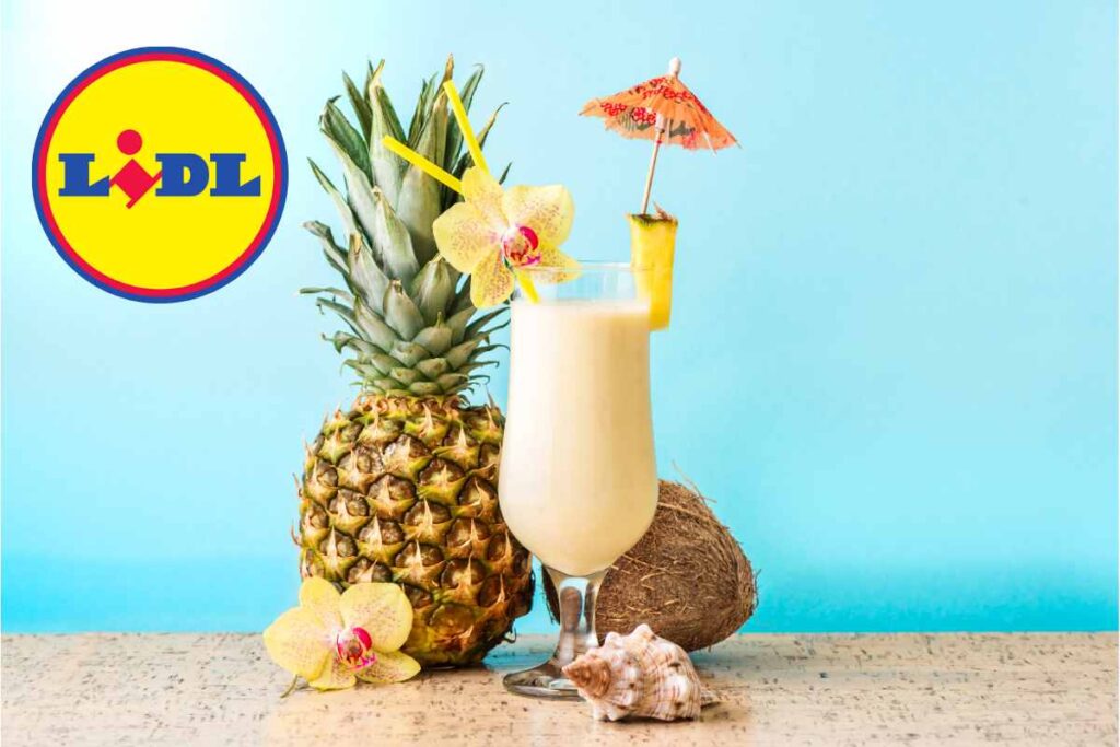 Estate da VIP con un prezzo da discount: l’offerta Lidl
