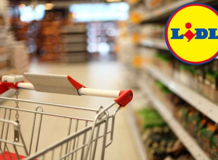 Prepara le bacchette, Lidl ti porta i sapori dal Giappone