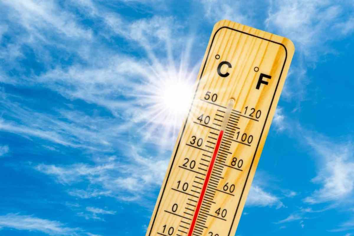 Caldo torrido