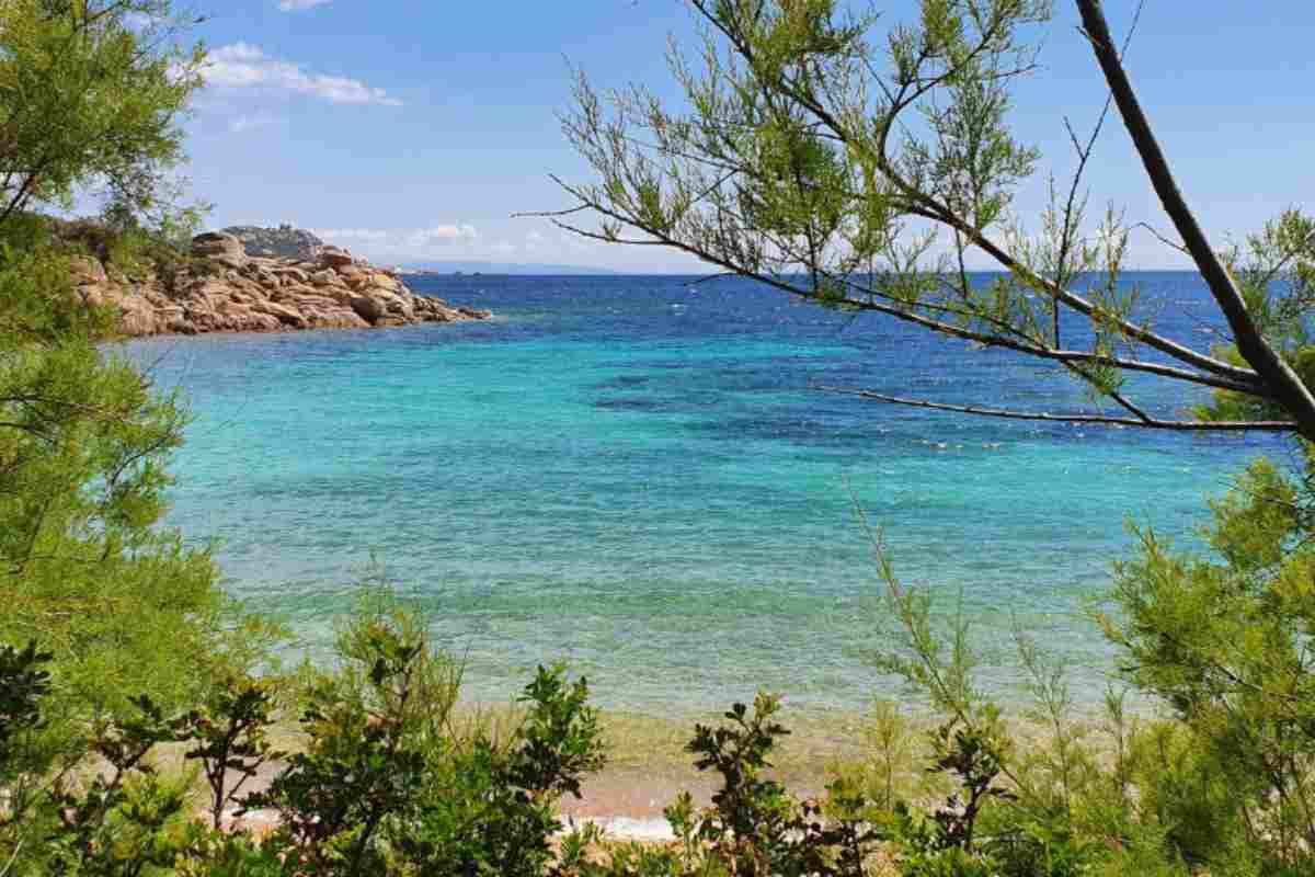 Corsica
