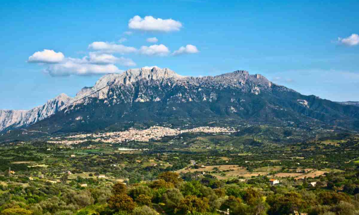 Oliena