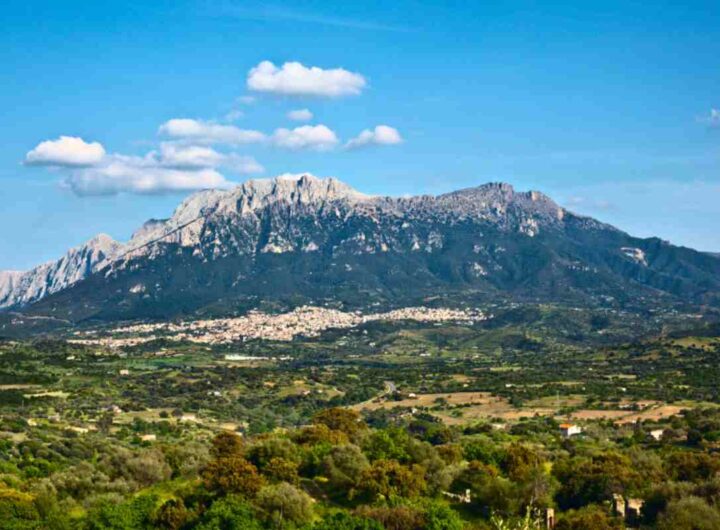 Oliena