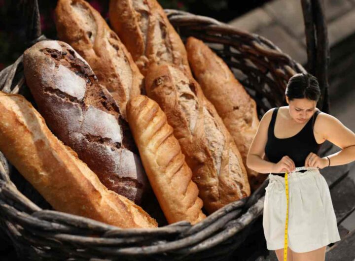 Pane