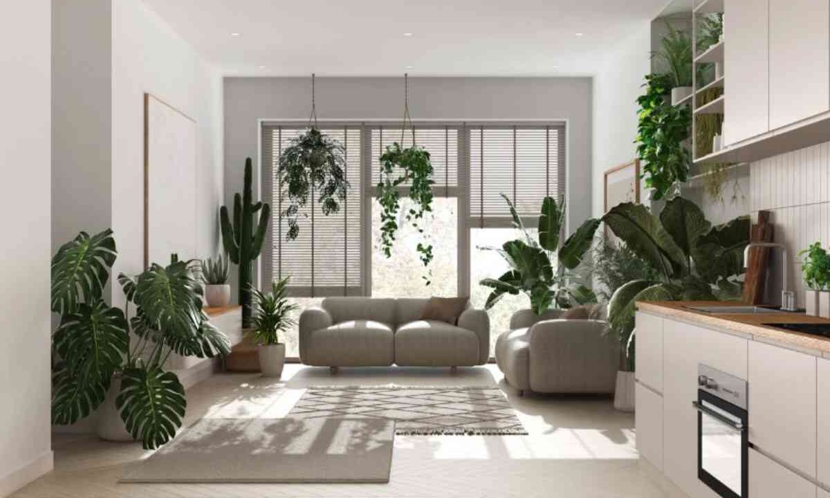Casa detox