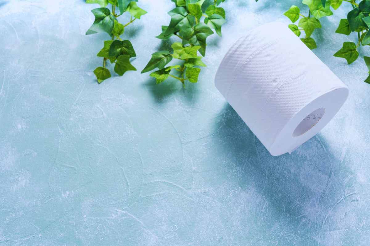 Zanzare ko con il segreto della carta igienica