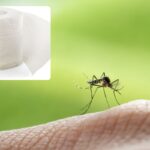 Zanzare ko con il segreto della carta igienica