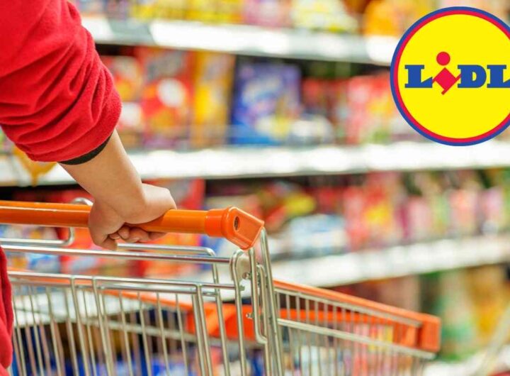 Estate 2025 salvata da Lidl
